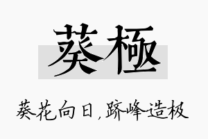 葵极名字的寓意及含义