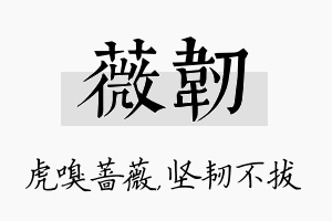 薇韧名字的寓意及含义