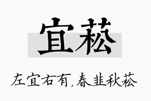 宜菘名字的寓意及含义