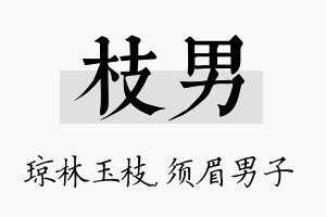 枝男名字的寓意及含义