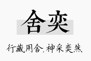 舍奕名字的寓意及含义