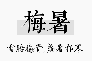 梅暑名字的寓意及含义