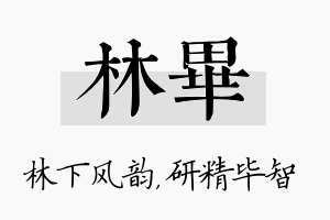 林毕名字的寓意及含义