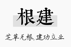 根建名字的寓意及含义