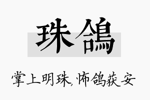 珠鸽名字的寓意及含义