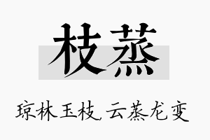 枝蒸名字的寓意及含义