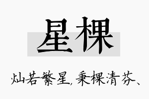 星棵名字的寓意及含义