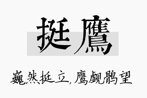 挺鹰名字的寓意及含义