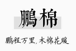 鹏棉名字的寓意及含义