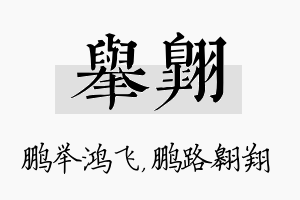 举翱名字的寓意及含义