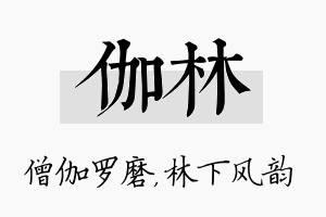 伽林名字的寓意及含义