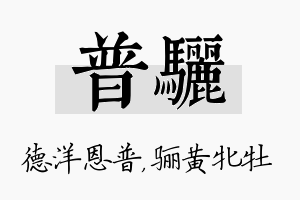 普骊名字的寓意及含义