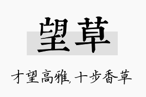 望草名字的寓意及含义