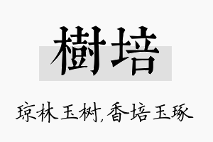 树培名字的寓意及含义