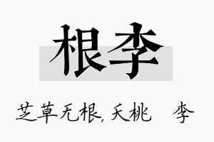 根李名字的寓意及含义