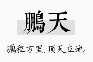 鹏天名字的寓意及含义