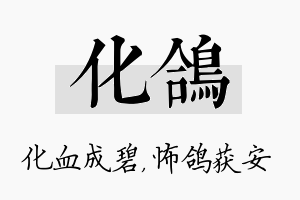 化鸽名字的寓意及含义