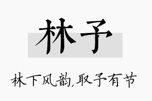 林予名字的寓意及含义