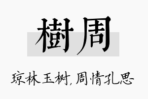 树周名字的寓意及含义