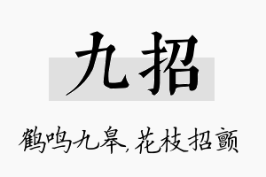 九招名字的寓意及含义