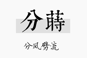 分莳名字的寓意及含义