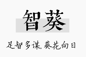 智葵名字的寓意及含义