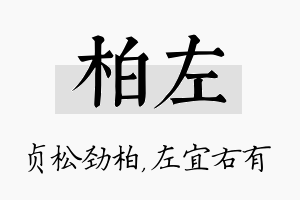 柏左名字的寓意及含义