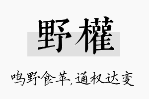 野权名字的寓意及含义