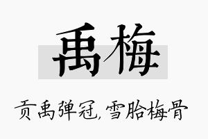 禹梅名字的寓意及含义