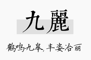 九丽名字的寓意及含义