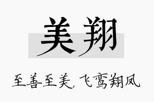 美翔名字的寓意及含义