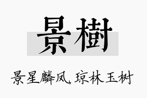 景树名字的寓意及含义