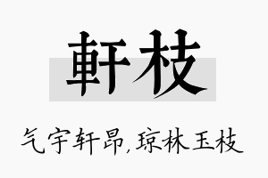 轩枝名字的寓意及含义