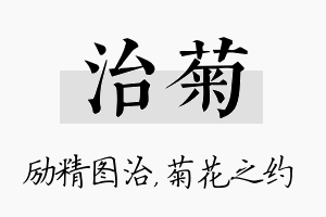 治菊名字的寓意及含义