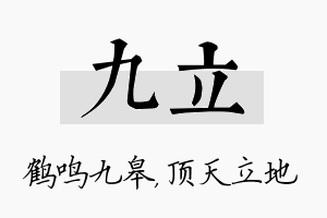 九立名字的寓意及含义