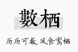 数栖名字的寓意及含义