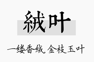 绒叶名字的寓意及含义