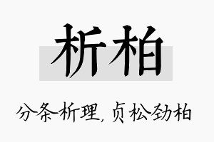 析柏名字的寓意及含义