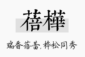 蓓桦名字的寓意及含义