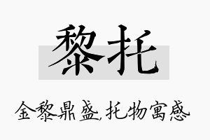 黎托名字的寓意及含义