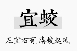 宜蛟名字的寓意及含义