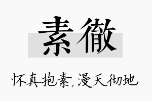 素彻名字的寓意及含义