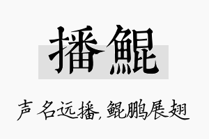 播鲲名字的寓意及含义