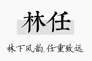 林任名字的寓意及含义