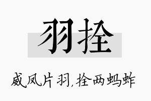 羽拴名字的寓意及含义