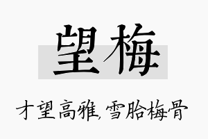 望梅名字的寓意及含义