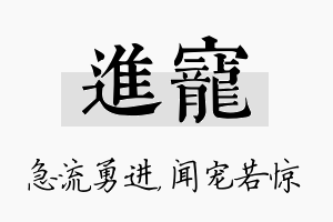 进宠名字的寓意及含义