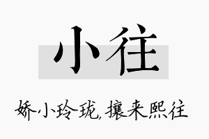 小往名字的寓意及含义