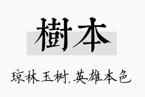 树本名字的寓意及含义