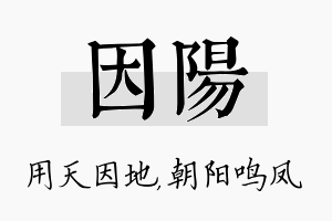 因阳名字的寓意及含义